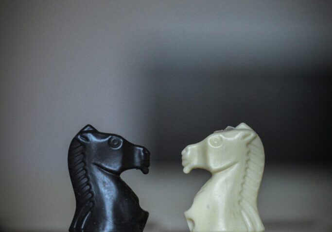 Black and white chess knights facing off.